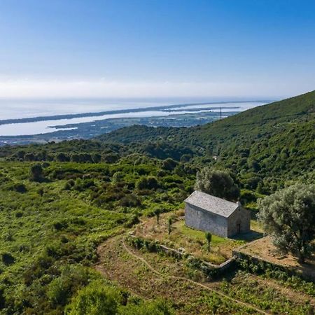 Appartement Neuf Entre Mer Et Montagne. 菲里亚尼 外观 照片