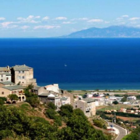Appartement Neuf Entre Mer Et Montagne. 菲里亚尼 外观 照片